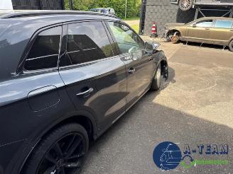Audi SQ5 SQ5 (FYB/FYG), SUV, 2016 3.0 TFSI V6 24V picture 6