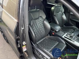 Audi SQ5 SQ5 (FYB/FYG), SUV, 2016 3.0 TFSI V6 24V picture 17