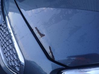 Kia Venga Venga MPV 1.4 CVVT 16V (G4FA) [66kW]  (02-2010/03-2019) picture 16