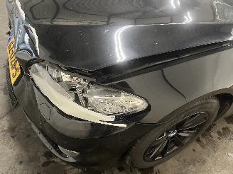 BMW 5-serie 5 serie (F10) Sedan 523i 24V (N53-B30A) [150kW]  (06-2009/08-2011) picture 9