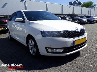 Skoda Rapid 1.4 TDI Greentech Joy Navi 90pk picture 5