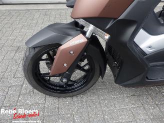 Yamaha XMAX 300 picture 20