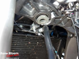 Suzuki  GSX-8S picture 18