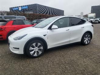 skadebil auto Tesla Model Y MODEL Y RWD 58 kWh range 455 km 52000 km rijdbaar 2024/11