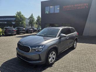 Avarii autoturisme Skoda Kodiaq 1.5 TSi M-HEV 110kw  AUTOM / 7 PERS / PANO 2024/11