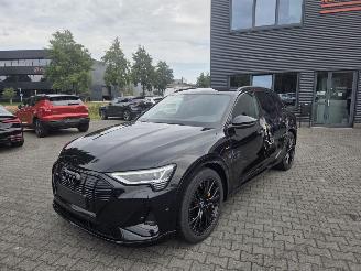 Vaurioauto  passenger cars Audi E-tron 55 quattro 300kw  S-Line Black Edition 95 kWh 2022/12