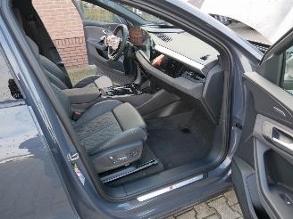 Audi SQ6 SQ6 e-tron PANORAMADAK 360 KW ACC HUD S.LINE STOELEN B & O picture 23