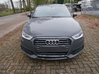 Audi A1 PANORAMADAK picture 2