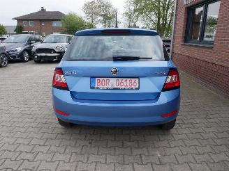 Skoda Fabia ACTIVE picture 6