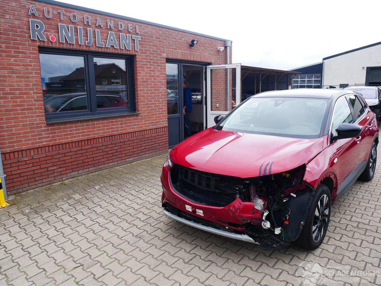 Opel Grandland X LEER LED PANORAMADAK