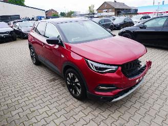 Opel Grandland X LEER LED PANORAMADAK picture 2