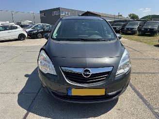 Opel Meriva 1.4 Turbo Anniversary Ed. picture 12