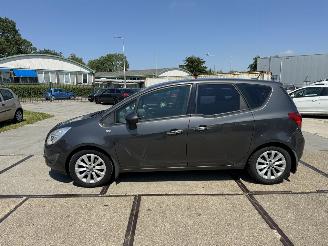 Opel Meriva 1.4 Turbo Anniversary Ed. picture 17