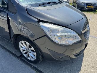 Opel Meriva 1.4 Turbo Anniversary Ed. picture 15