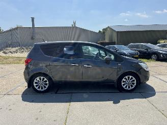 Opel Meriva 1.4 Turbo Anniversary Ed. picture 18