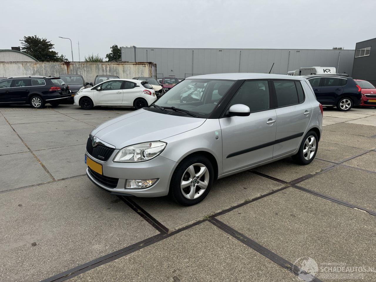 Skoda Fabia 1.2 TDI Greenline