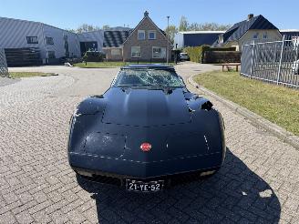 Corvette  STINGRAY 5.7 V8 Targa picture 15