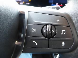 BMW iX1 20 eDrive picture 21