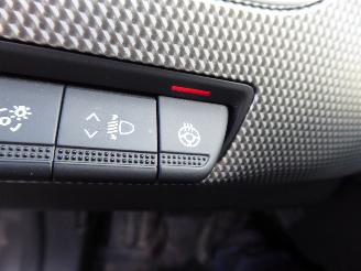 Renault Arkana Techno picture 13