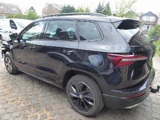 Skoda Karoq 2.0l TDI 85kW DSG SportLine picture 8