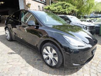 Tesla Model Y  picture 3