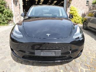Tesla Model Y  picture 2