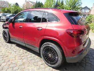 Mercedes EQA 250+ AMG Line picture 8