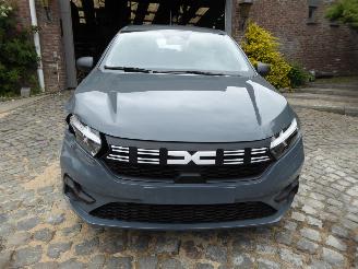 Dacia Sandero  picture 2