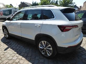 Skoda Karoq Style picture 10