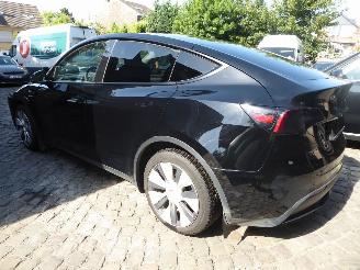Tesla Model Y  picture 6