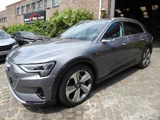 damaged passenger cars Audi E-tron 55 quattro advanced 2019/6