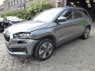  Skoda Karoq Ambition 2024/1