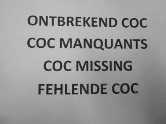 Nissan Interstar  picture 25