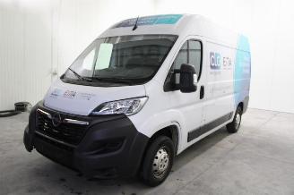 škoda osobní automobily Opel Movano  2022/9