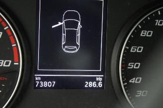 Seat Ibiza  picture 12