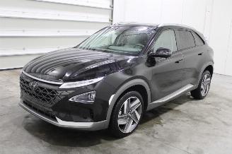 Avarii autoturisme Hyundai Nexo  2020/11