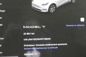Tesla Model Y  picture 14