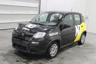 škoda osobní automobily Fiat Panda  2023/3