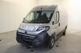 uszkodzony samochody osobowe Opel Movano  2025/9