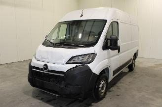 Auto incidentate Opel Movano  2025/10