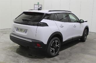 Peugeot 2008  picture 3