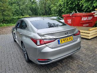 Voiture accidenté Lexus ES 300H Business Line Schuifdak Led Stoelverw 2024/1