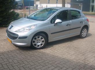škoda osobní automobily Peugeot 207  2007/1