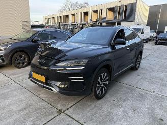 škoda osobní automobily BYD Seal U 87 KWH 218 PK -NAVI-CAMERA-LEDER-ACTIERADIUS 500 KM 2025/3