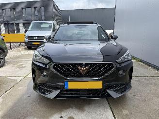Cupra Formentor 1.4 e-HYBRID VZ Copper EDITION-LEDER-PANO-NAVI-CAMERA picture 13