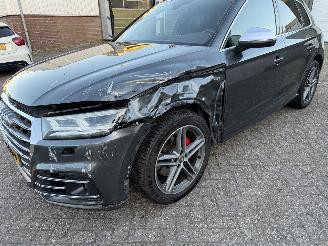 Audi SQ5 3.0 TFSI 354Pk Quattro Pano Bang&Olufsen Sfeerverlichting Head-Up picture 26