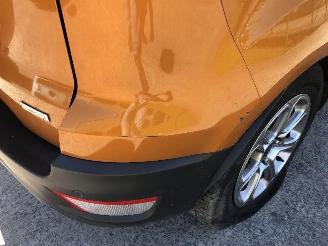 Ford EcoSport 1.0 ECOBOOST picture 16