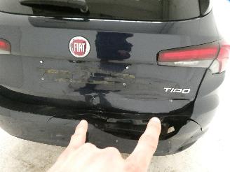 Fiat Tipo 1.0 picture 14