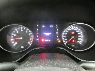 Jeep Compass NIGHT EAGLE picture 15