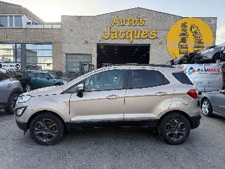 Unfallwagen Ford EcoSport 1.0I TREND 2019/1